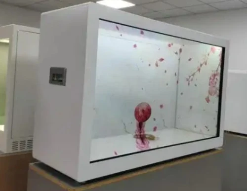 Mabalin kadi nga I-customize ti Transparent LED Screen?